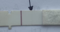 Anyone else 7DPO and hating the waiting part?