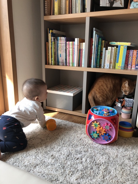 June 2020 Babies-Six months on: mobile babies, feeding adventures, and still sleepless nights! 3rd thread