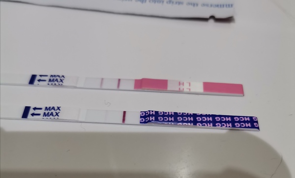 Faint positive? Evap?