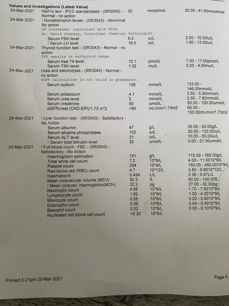 Can anyone help me read my blood results