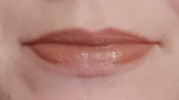 Lipstick Challenge - a different lipstick each day of Jan!