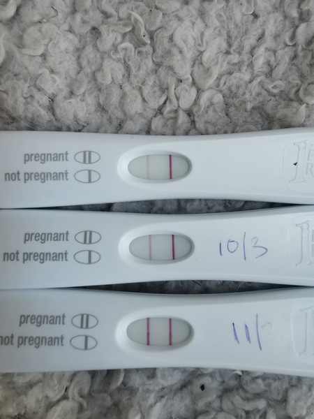 Recent MC - New cycles & trying again