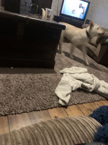Puppy Survival Thread - March - April