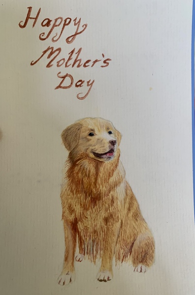 ADs teach twisted lyrics to their pet tortoise