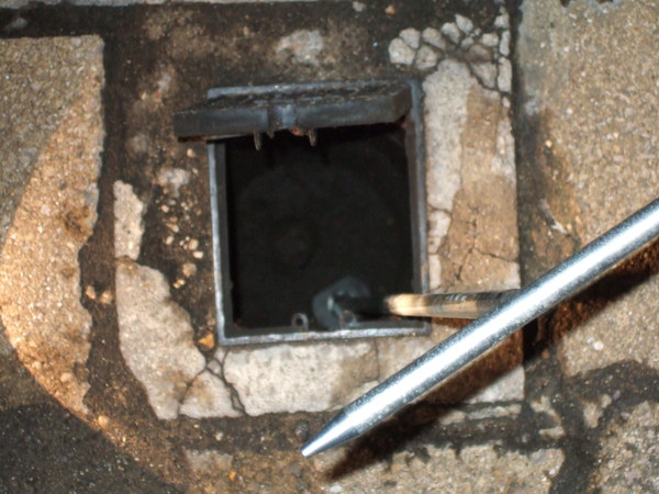 Damp next to back door