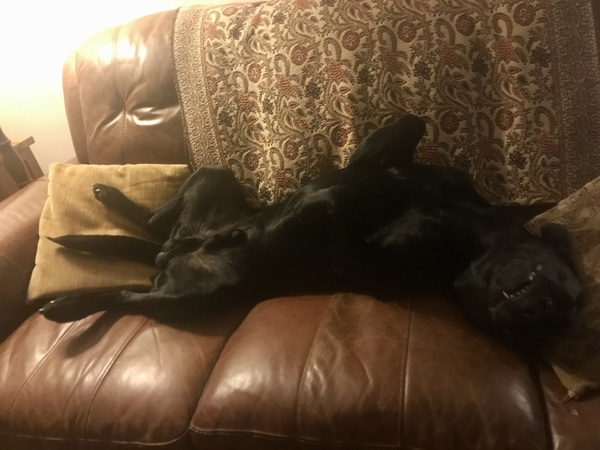 Draw me like one of your French girls Jack