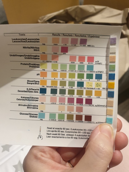 Any midwives/medical professionals or pregnancy experts help me figure out this test?