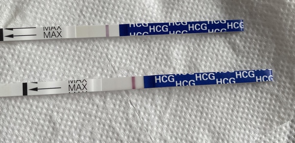 FET March/April