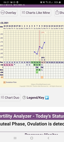 Entering the TWW with BBT charts