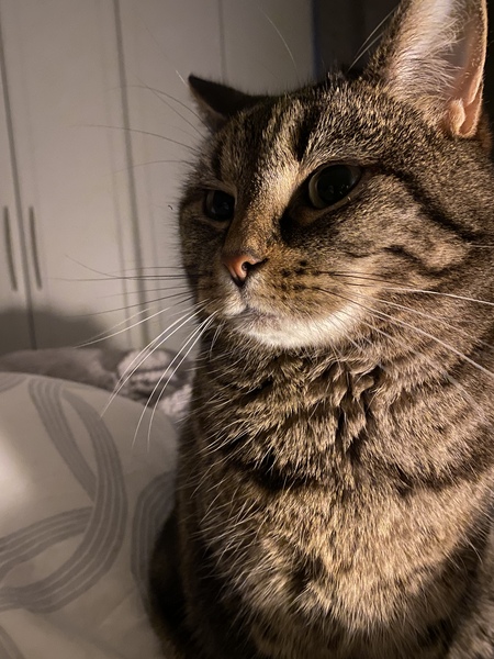 Frugaleers -Marching March-wards Making Money Matter