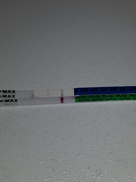 Whats going on? AF 2 days late...BFN. pics attached.