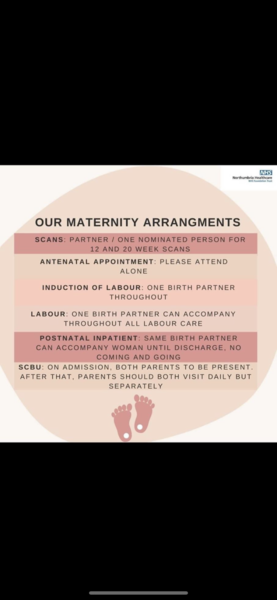 What appointments have your partners been allowed to attend?