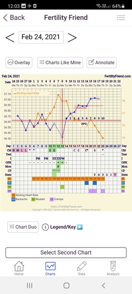 Recent MC - New cycles & trying again