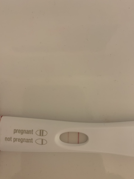 🦕 Catching up - ttc after miscarriage part 5 🦕
