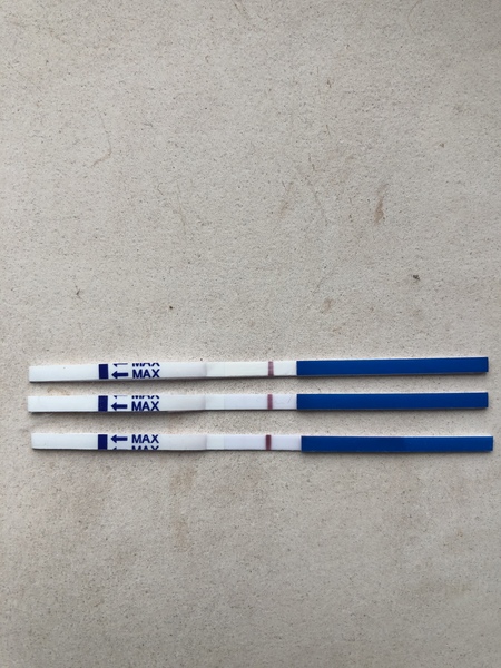 11dpo ... Is this a positive test?