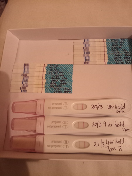 Anyone had low bbt in early pregnancy and gone on to have healthy birth?