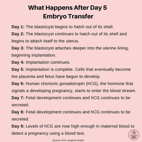 IVF - Feb/March - continued