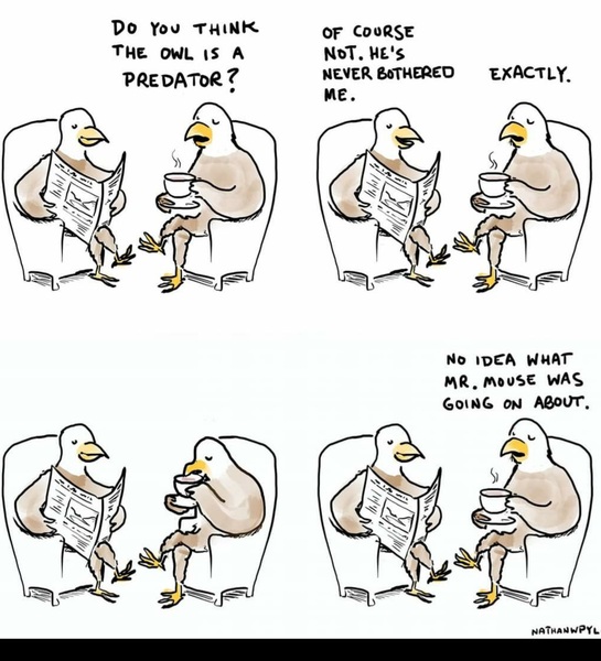 My husband says “notallmen”