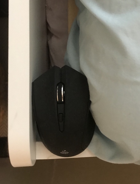 Anyone have a single bed with an under bed?