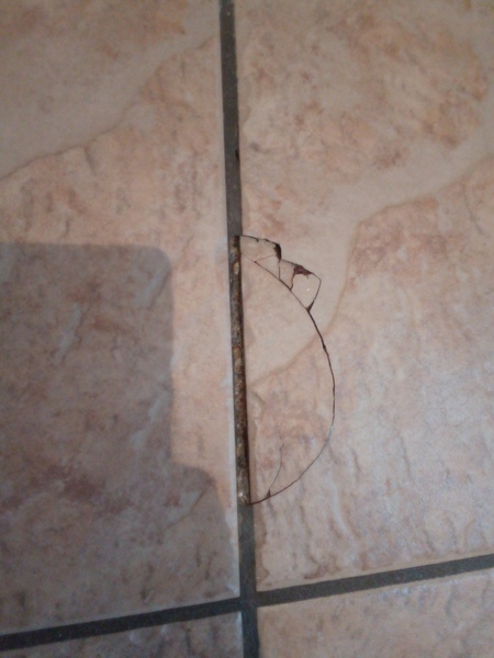How can I fix this cracked tile?