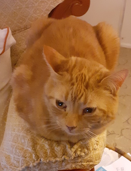 Our Girl Thread 59 "Our Girl and Soldier Soldier Revisited"