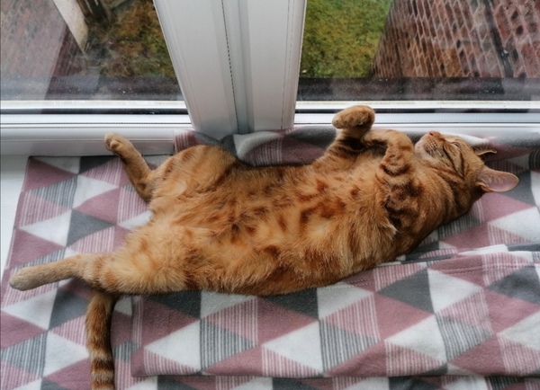 Smooshy tummy alert!