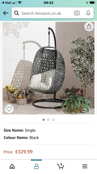 Hanging Egg Chair