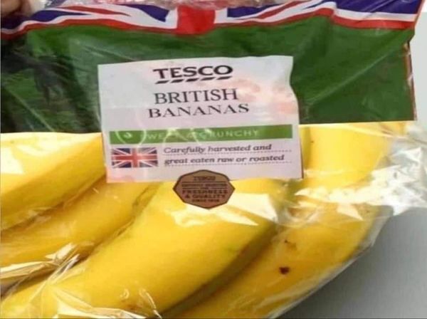 Westministenders: Unilateral Ignoring of WHO rules