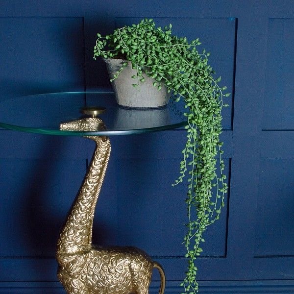 What would you put on my dressing table?