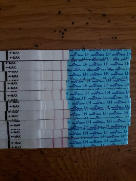 Ovulation test help.
