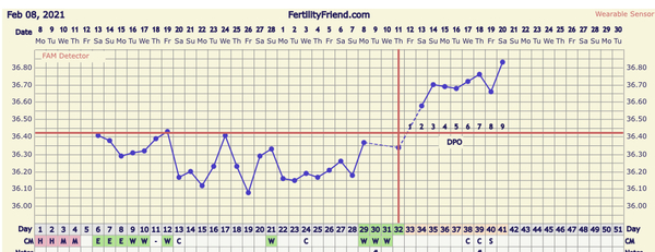 4/5 dpo - anyone want to symptom spot?