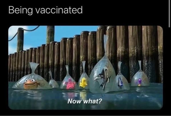 ADs teach twisted lyrics to their pet tortoise