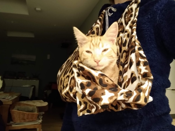 Does your can like to be worn in a baby sling?