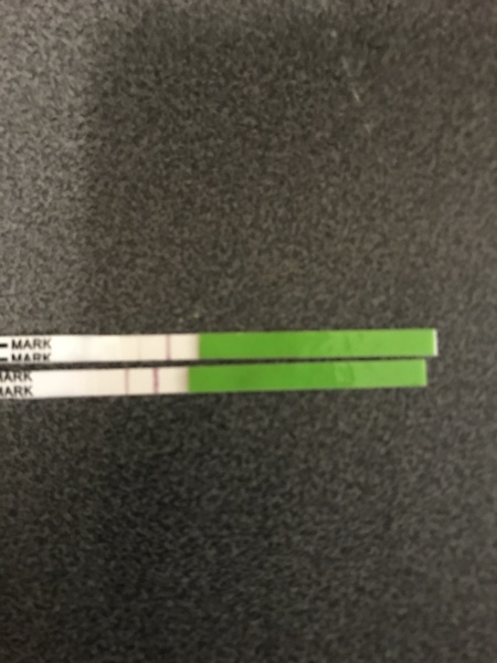 Positive opk after ovulation?