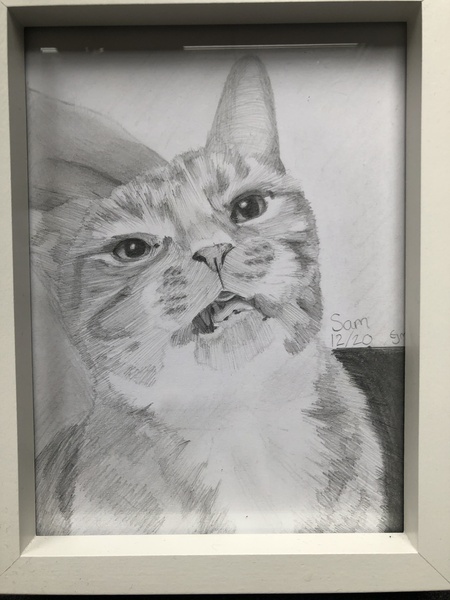 The Litter Tray Memorial Thread