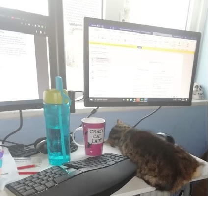 What does your Dcat do to drive you insane ( light hearted)