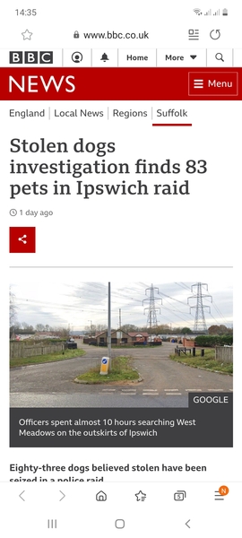 Local Social media full of attempted dog theft gossip?