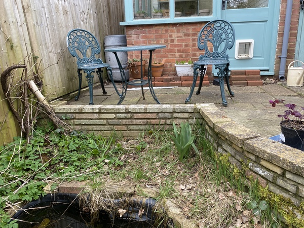 What would you plant here?