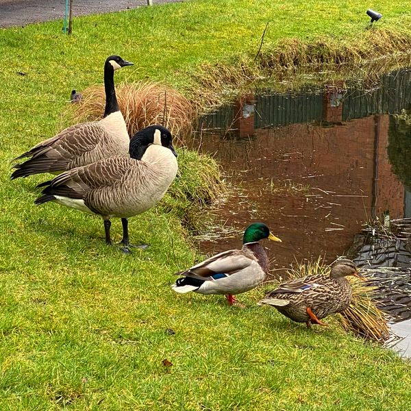 NOT what I expected to wake up to this morning...