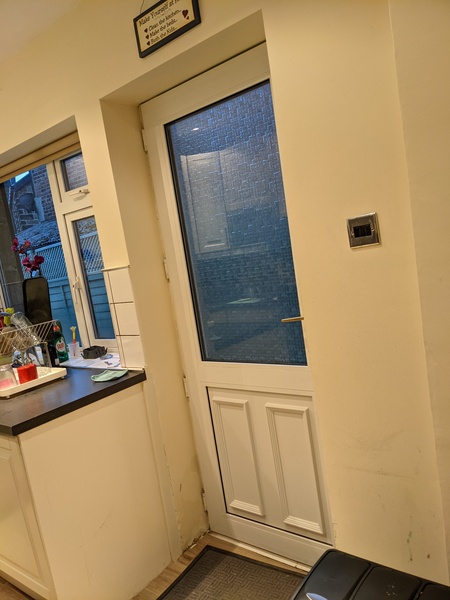 Damp next to back door