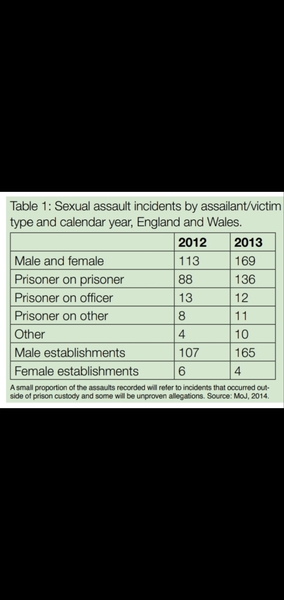 Women shouldn’t have to go to court to beg not to be locked up with intact male rapists