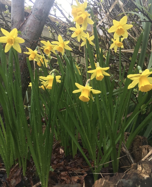 Any Witches here? Part 13