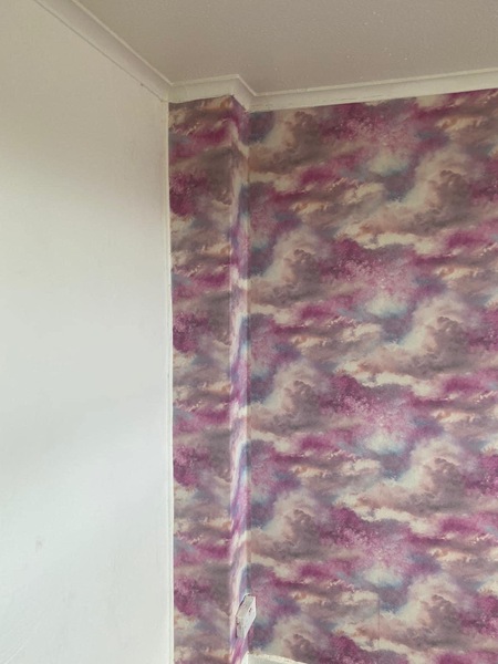 Fledglings are Marching into March (and tentatively inching closer to freedom): The March Flylady Thread
