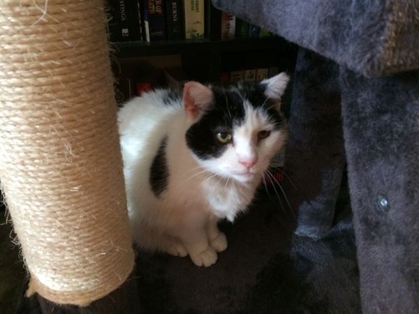 For Anyone Needing Support After Losing A Parent. Very Supportive Thread