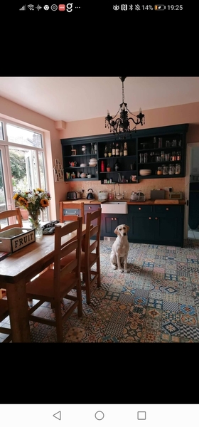 Has anyone got a pink kitchen?