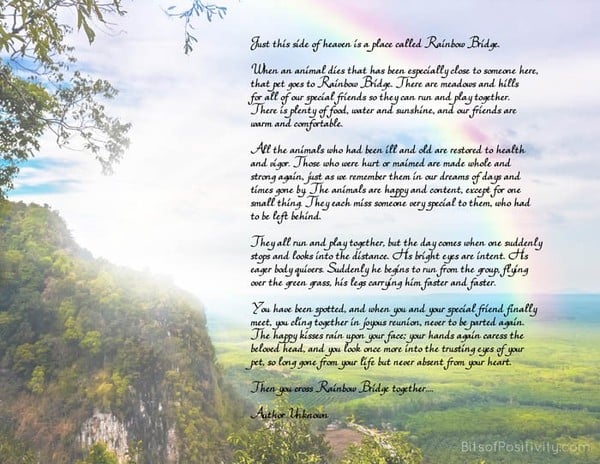 How do you know when it is time (to PTS)?