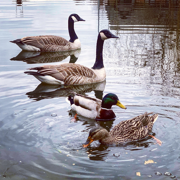 NOT what I expected to wake up to this morning...