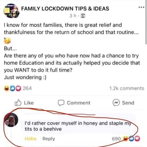 To ask if anyone is now considering home education full time?