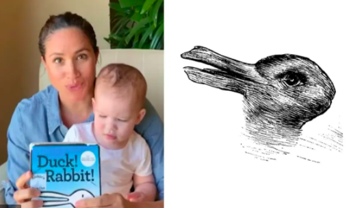 The Duck Test