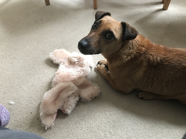 Daily Gratitude's 2021